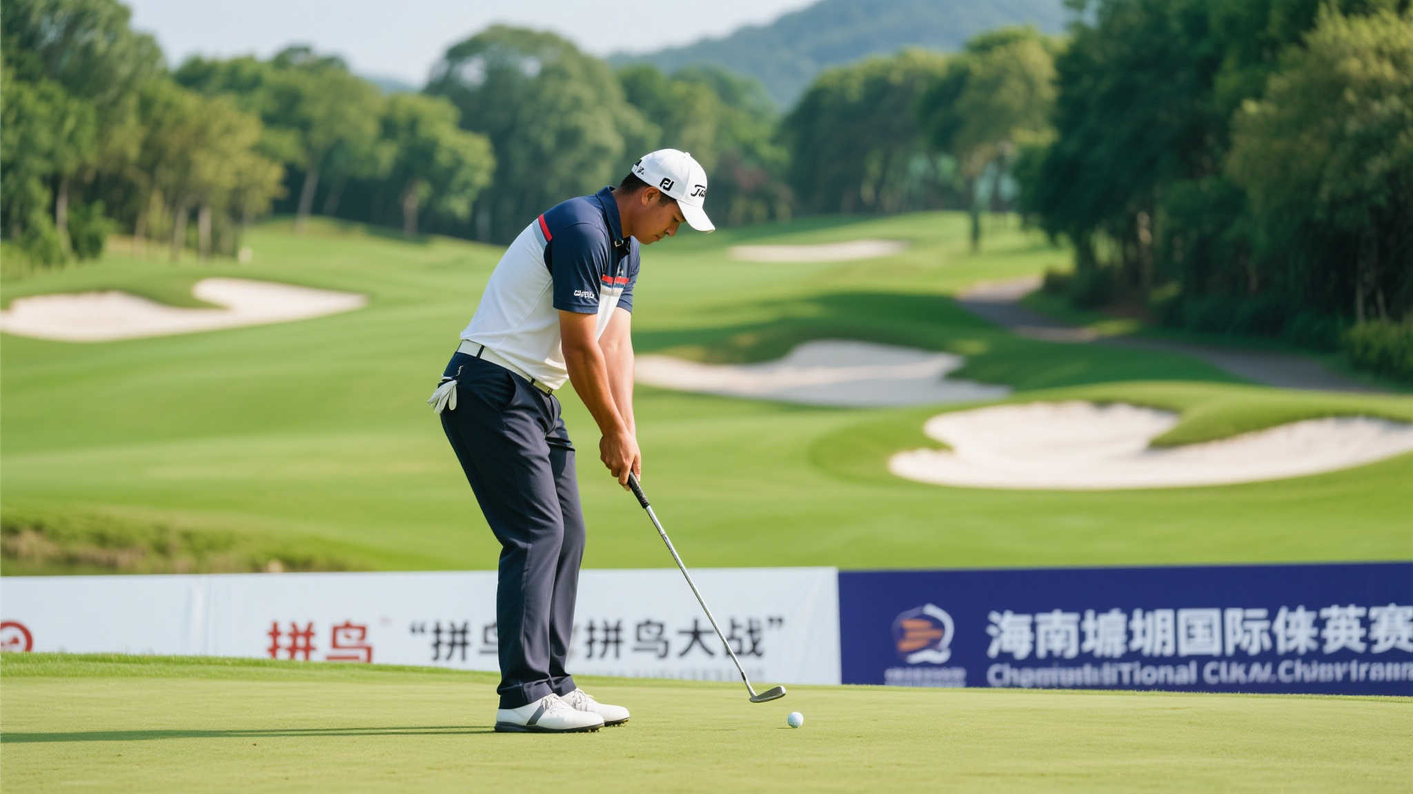 养诸多年轻 养诸多年轻