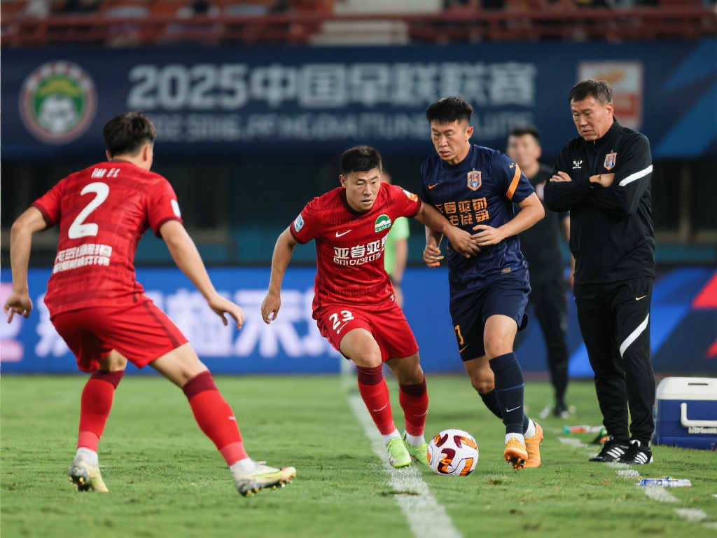 但其进攻效 但其进攻效